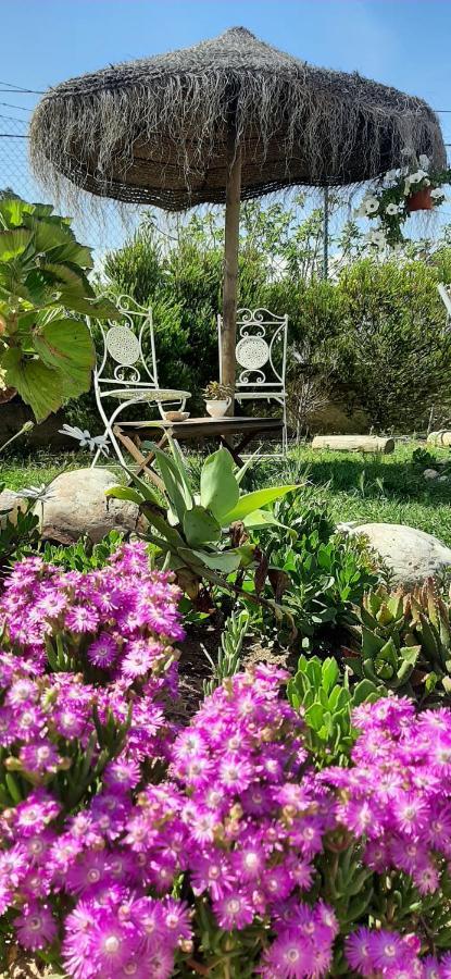 Blacksheep Sagres Guesthouse & Surf Exterior foto
