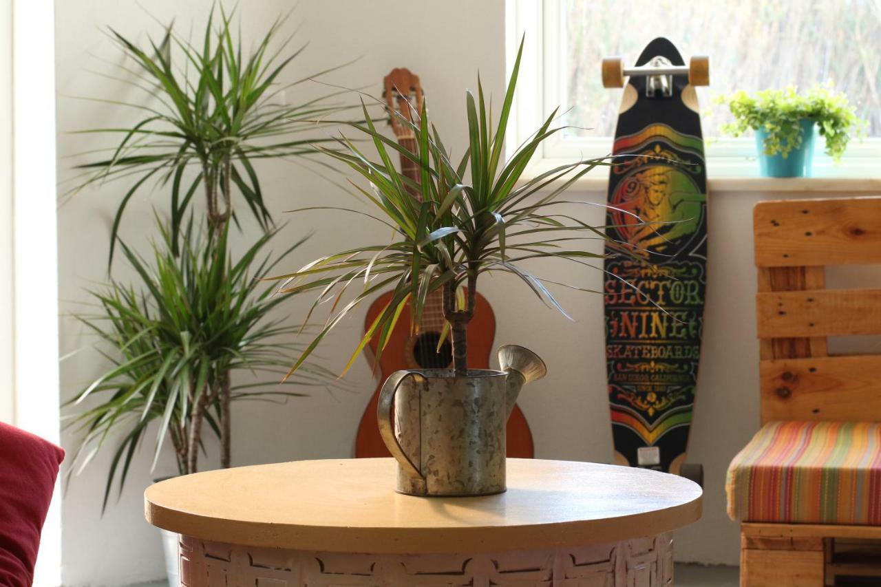 Blacksheep Sagres Guesthouse & Surf Exterior foto
